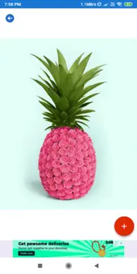 Pineapple HD Wallpapers android App screenshot 0