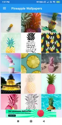 Pineapple HD Wallpapers android App screenshot 1