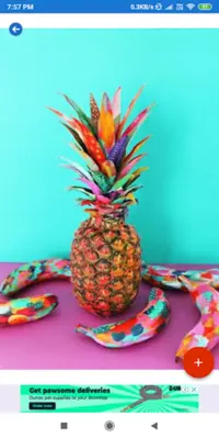 Pineapple HD Wallpapers android App screenshot 2