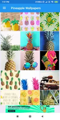 Pineapple HD Wallpapers android App screenshot 4