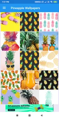 Pineapple HD Wallpapers android App screenshot 7